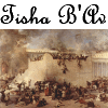Tisha BAv