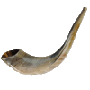 Shofar Made From the Horn of a Ram or Sheep